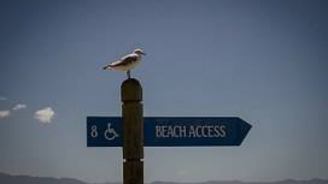 Te llevamos a la playa