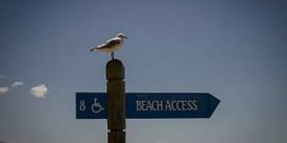 Te llevamos a la playa